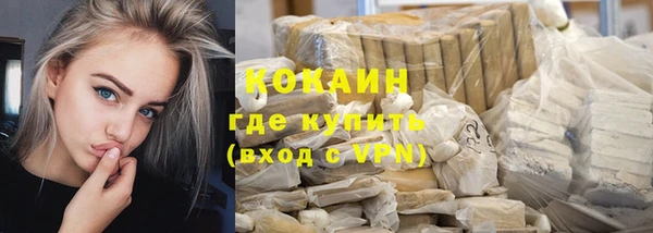 крисы Верея