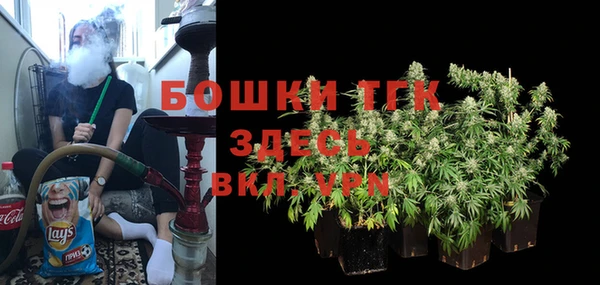 PSILOCYBIN Ветлуга