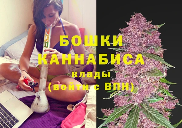 крисы Верея