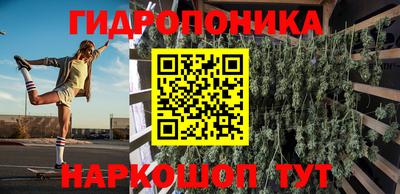амф Бийск