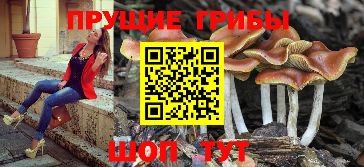 Галлюциногенные грибы MAGIC MUSHROOMS Гай