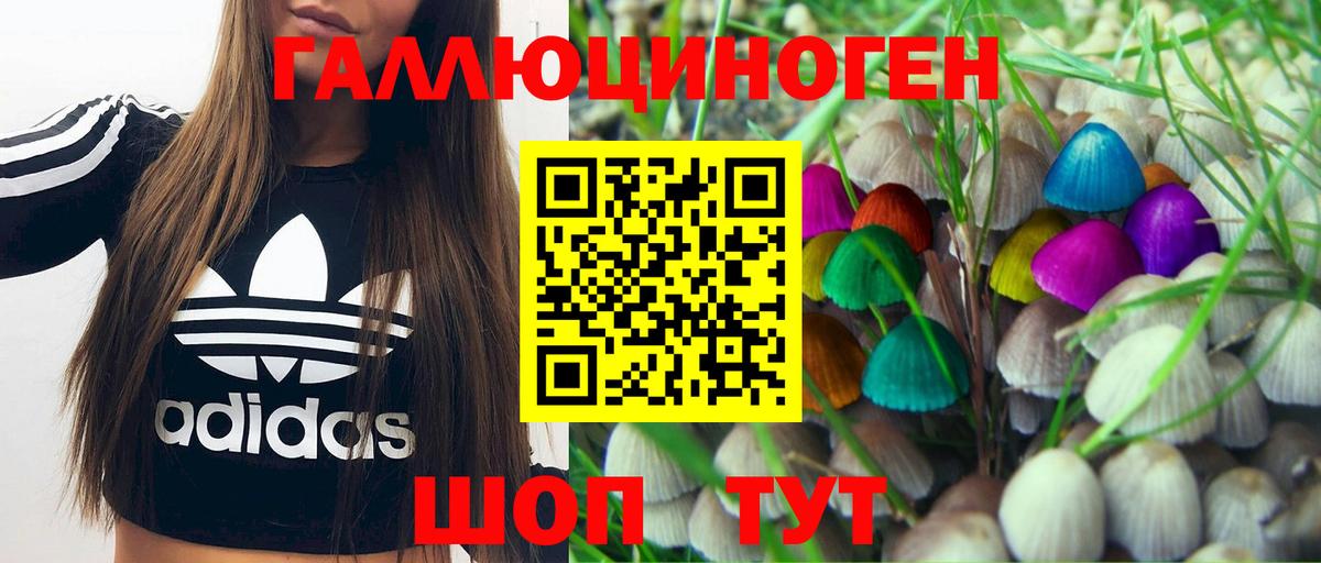 Галлюциногенные грибы GOLDEN TEACHER  Гай 