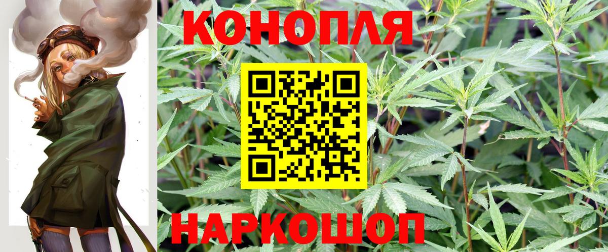 Бошки Шишки THC 21% Гай